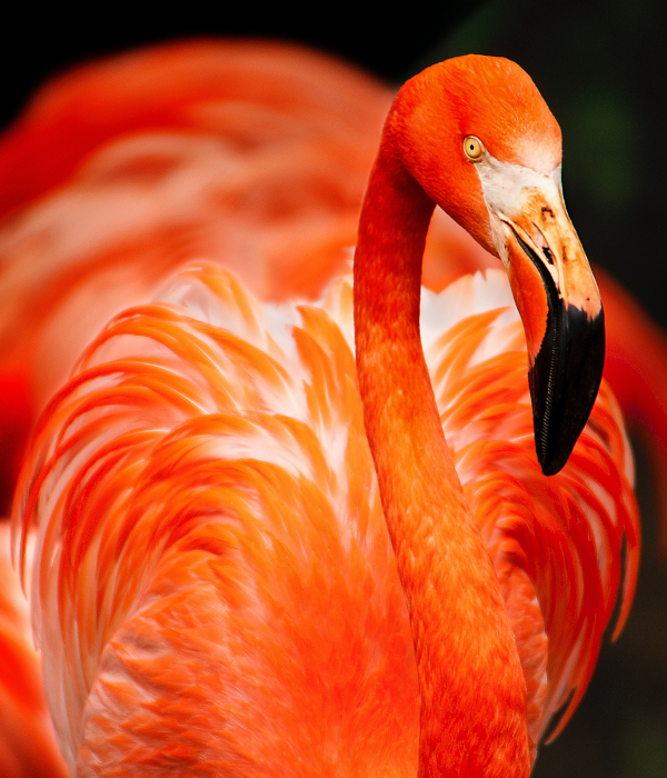 alan-emery-SYzUF6XcWBY-unsplash